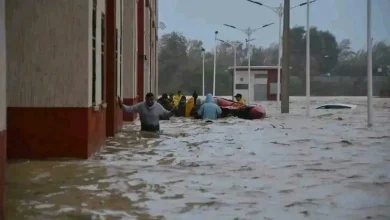 الفيضانات في الجزائر