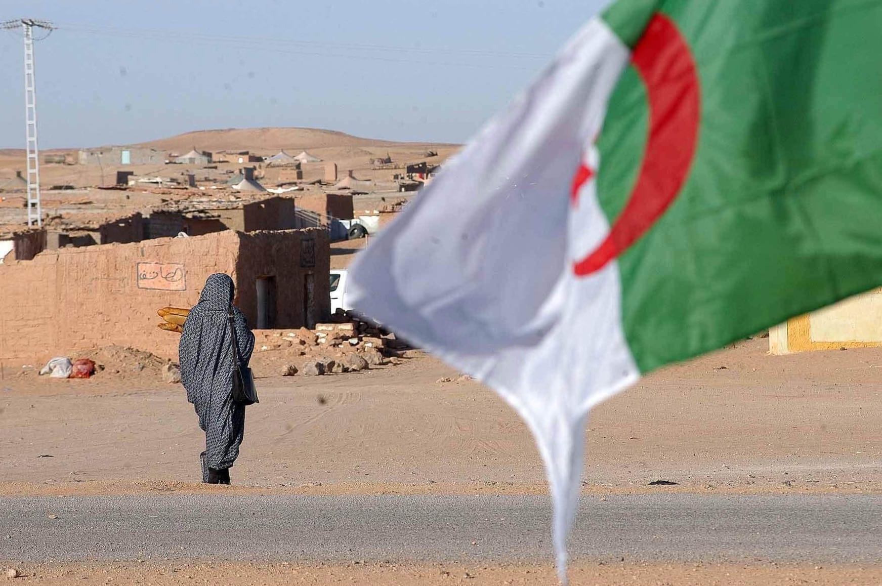الجزائر والبوليساريو