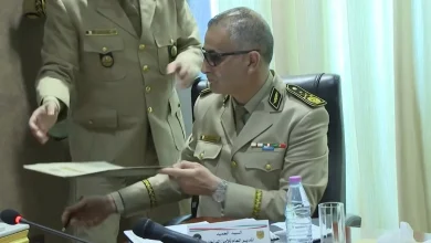 فرار ناصر الجن