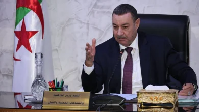 وزير الداخلية الجزائري سعيد سعيود
