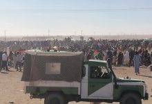 مظاهرات مخيمات تيندوف