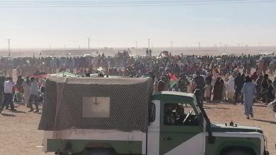 مظاهرات مخيمات تيندوف